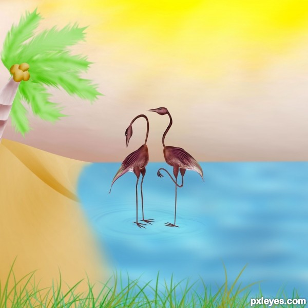 Creation of Flamingo Island: Final Result